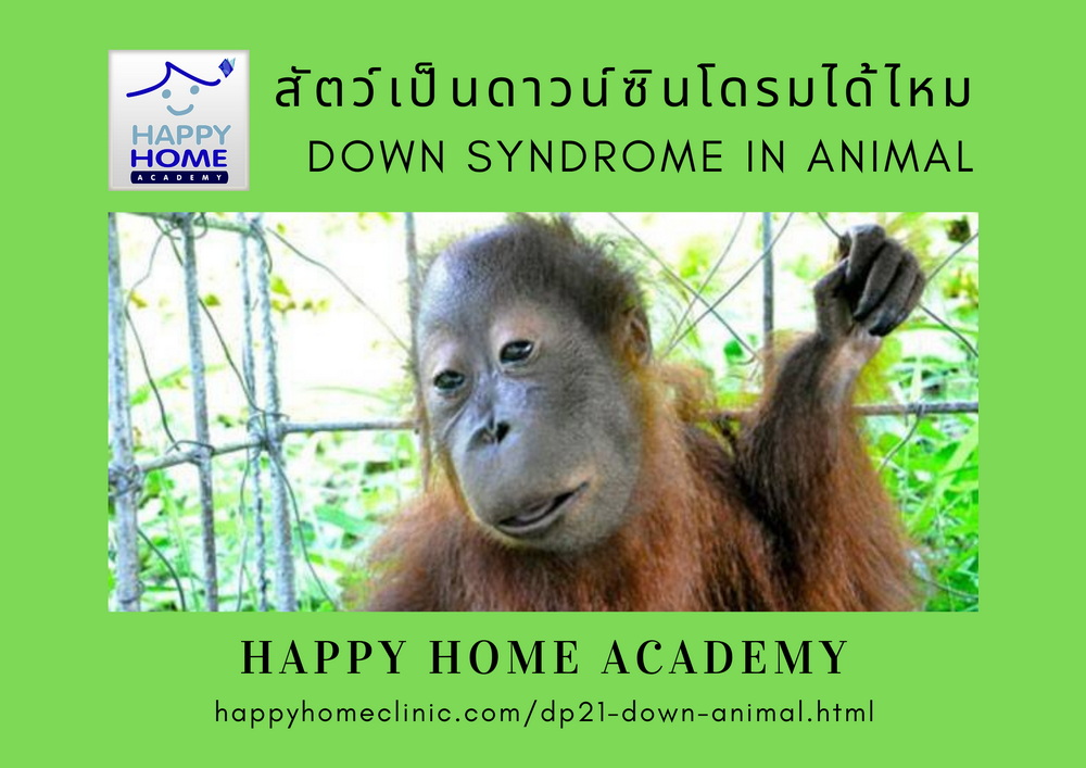 Down syndrome in animal